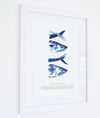 Framed Mackerel Print - Aurina Ltd