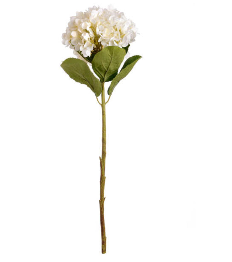 Large White Hydrangea - Aurina Ltd