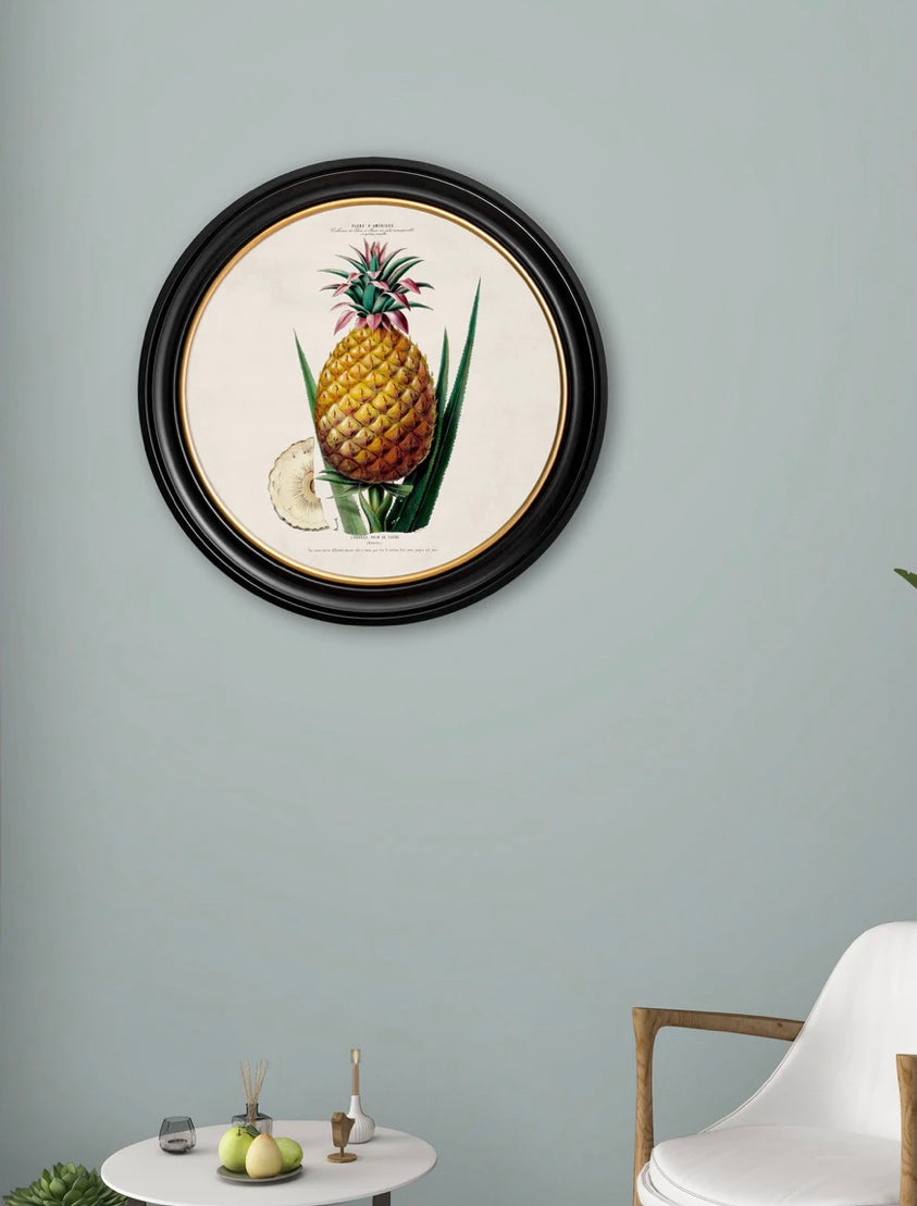 C.1843 Pineapple Plant - Round Frame - Aurina Ltd