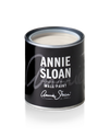 Annie Sloan Wall Paint Pompadour - Aurina Ltd