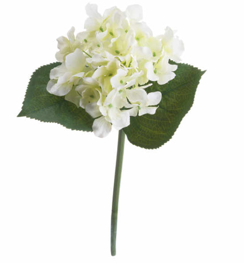 White Posy Hydrangea - Aurina Ltd