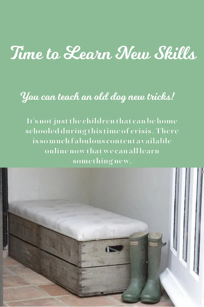 Learn Something New while you are at home during Lockdown Aurina Pop UP Ltd