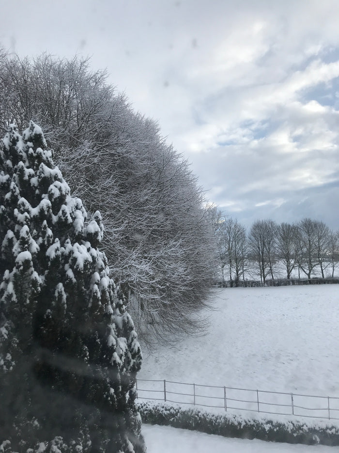 Beast from the East has arrived!