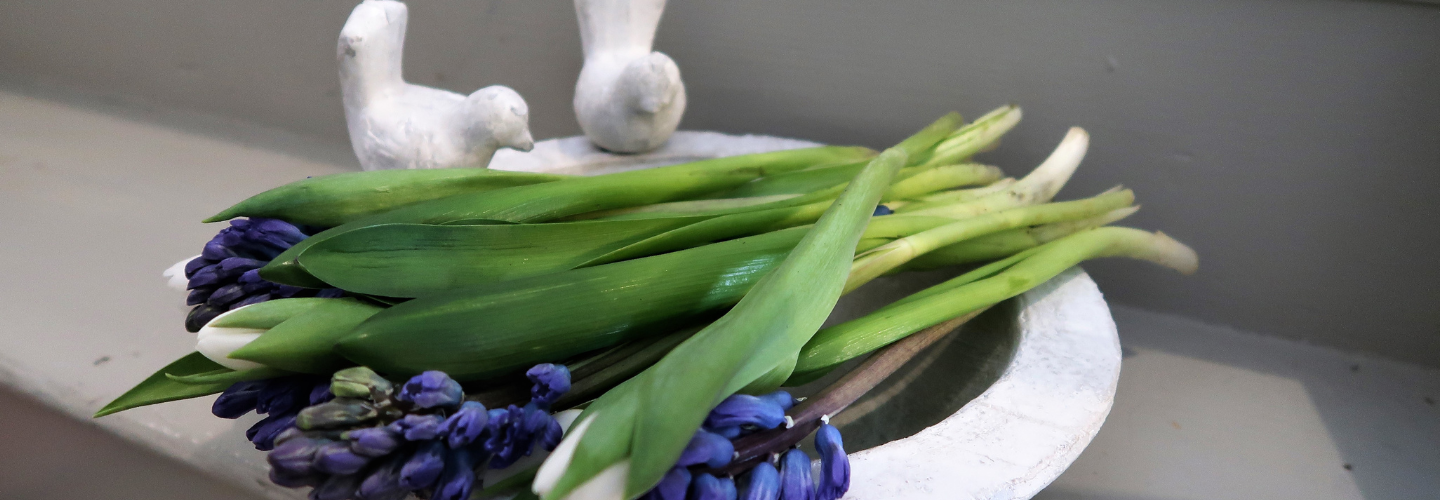 Pre-Order Spring 2026