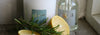 Home Fragrances