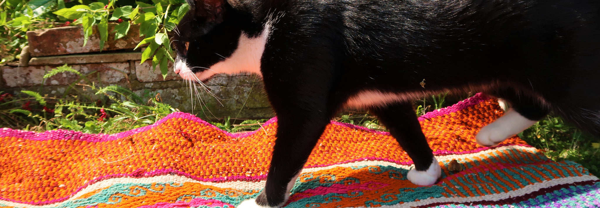 Rugs & Floor Covering