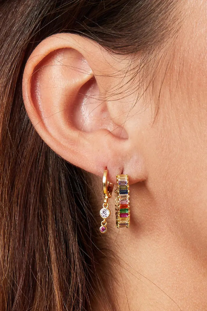 Rainbow Small Hoop Earring