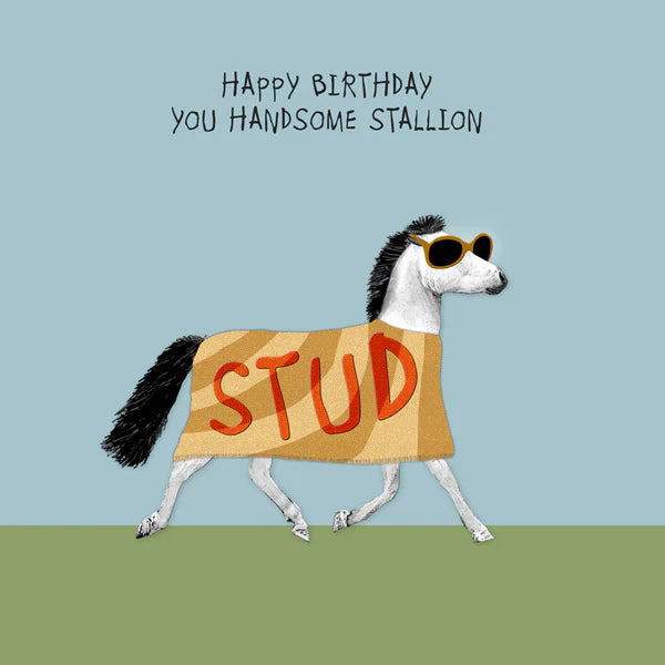 Happy Birthday Handsome Stallion Aurina Pop UP Ltd