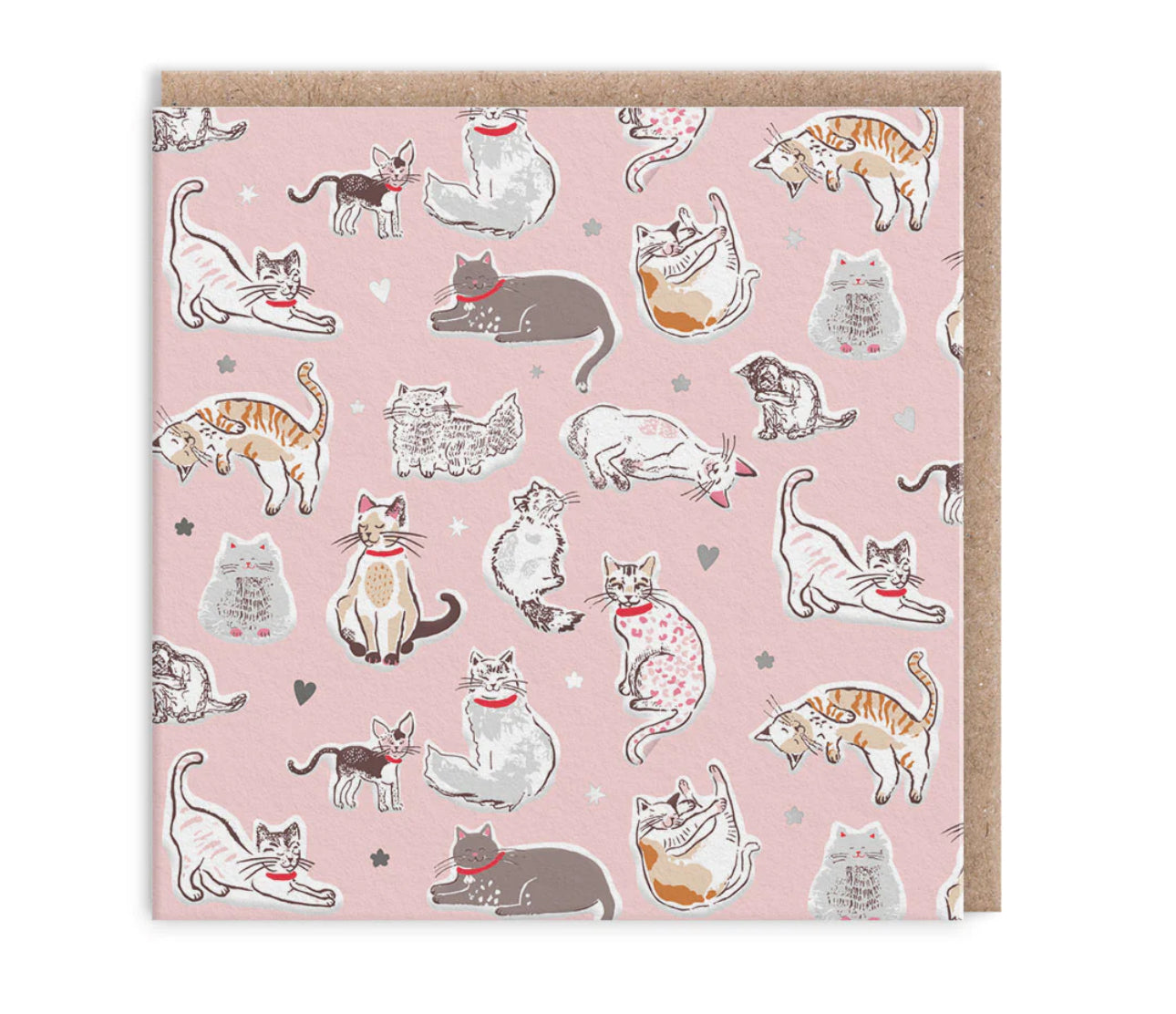 All The Cats   Mini Greeting Card