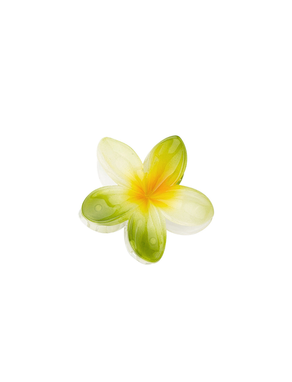 Hawaiian Dream Flower Clip Aurina Ltd
