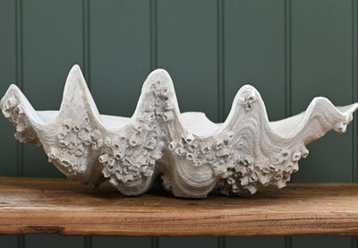 Medium Clam Bowl