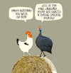 Wise Old Bird & Spring Chicken