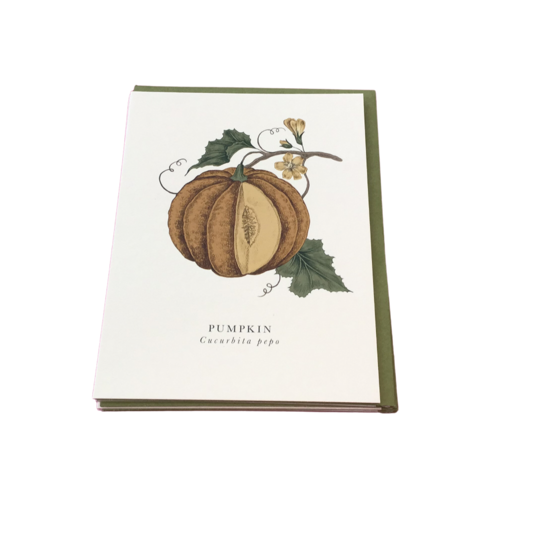 Pumpkin Card Aurina Ltd