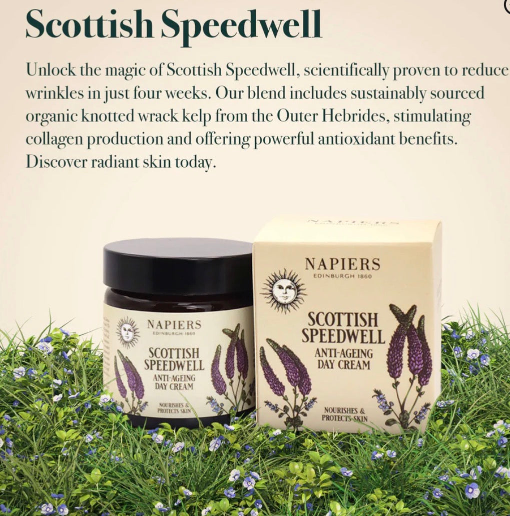 Napiers Speedwell Ageless Day Cream Aurina Pop UP Ltd