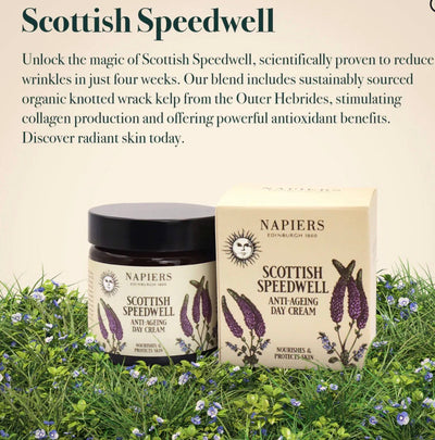 Napiers Speedwell Ageless Day Cream Aurina Pop UP Ltd