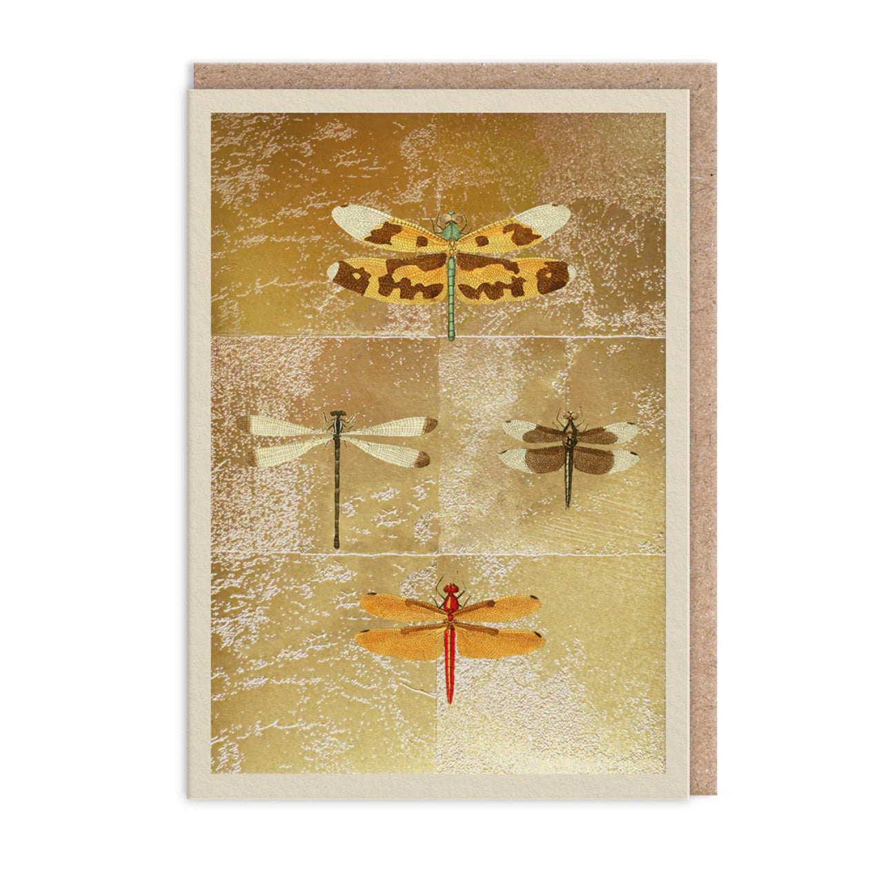 Hot Foil Dragonflies Greetings Card Aurina Pop UP Ltd