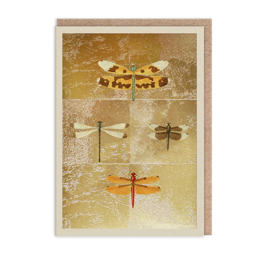 Hot Foil Dragonflies Greetings Card Aurina Pop UP Ltd
