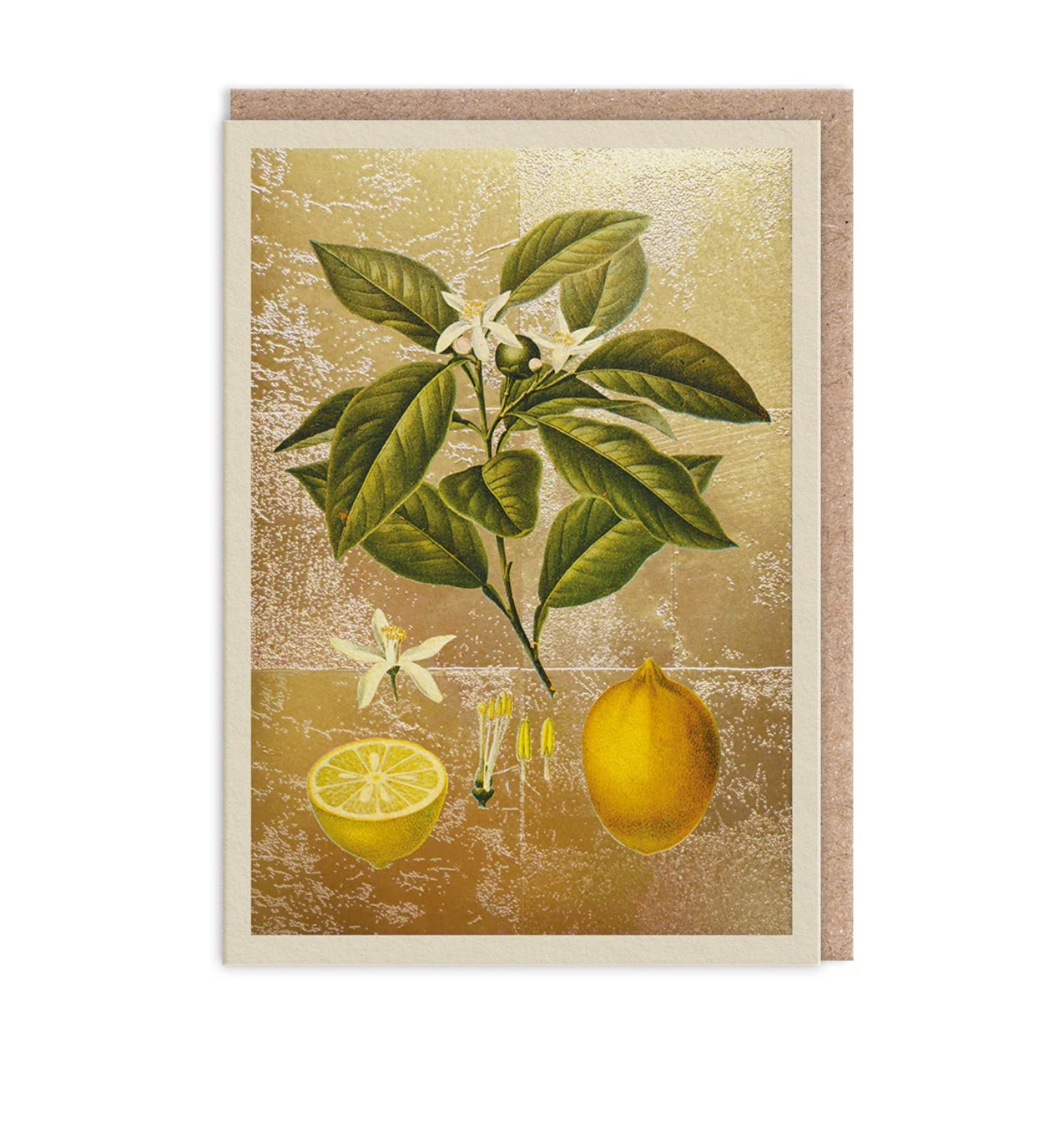 Hot Foil Lemons Greetings Card Aurina Pop UP Ltd