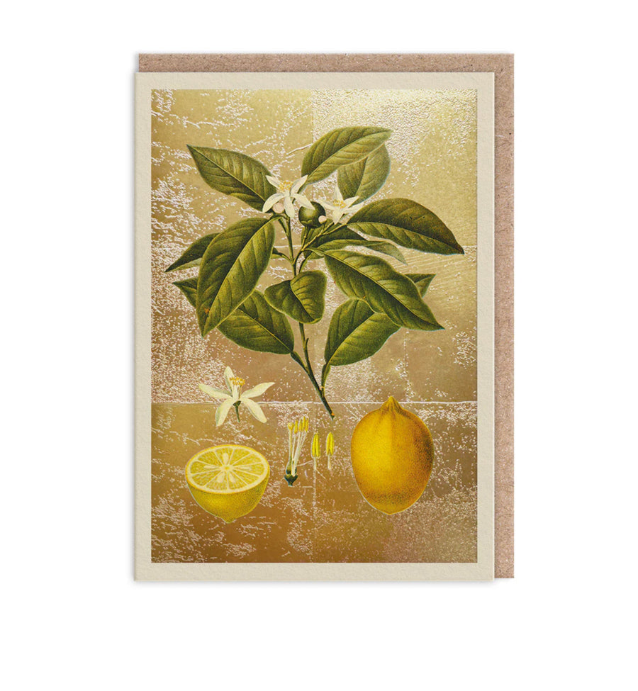 Hot Foil Lemons Greetings Card Aurina Pop UP Ltd