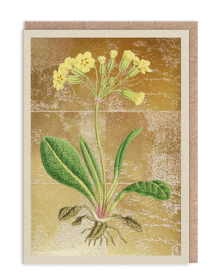Hot Foil Cowslip Greetings Card Aurina Pop UP Ltd