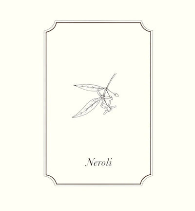 Napiers Neroli (Tunisian) 2% Essential Oil Blend Aurina Pop UP Ltd