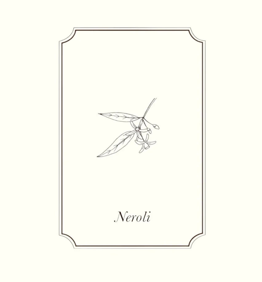 Napiers Neroli (Tunisian) 2% Essential Oil Blend Aurina Pop UP Ltd