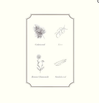 Napiers Relaxing Essential Oil Blend Aurina Pop UP Ltd