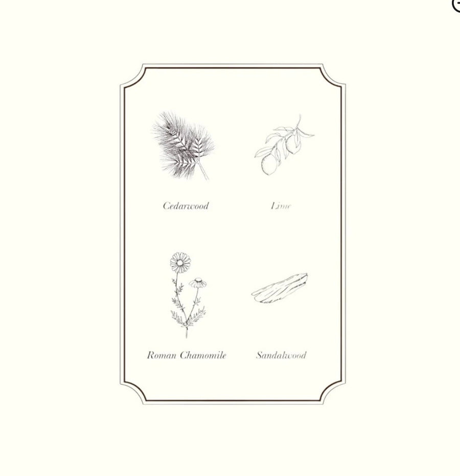 Napiers Relaxing Essential Oil Blend Aurina Pop UP Ltd