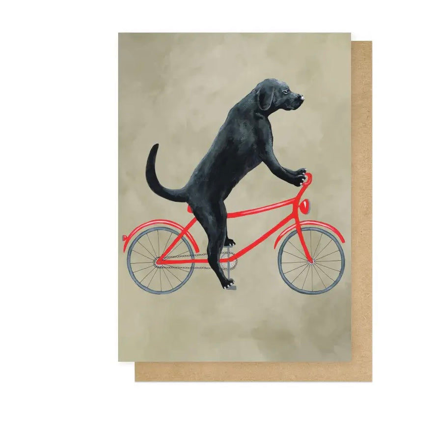 Labrador on Bicycle Card