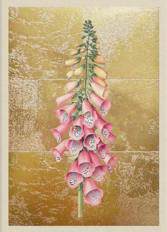 Hot Foil Foxgloves Greetings Card