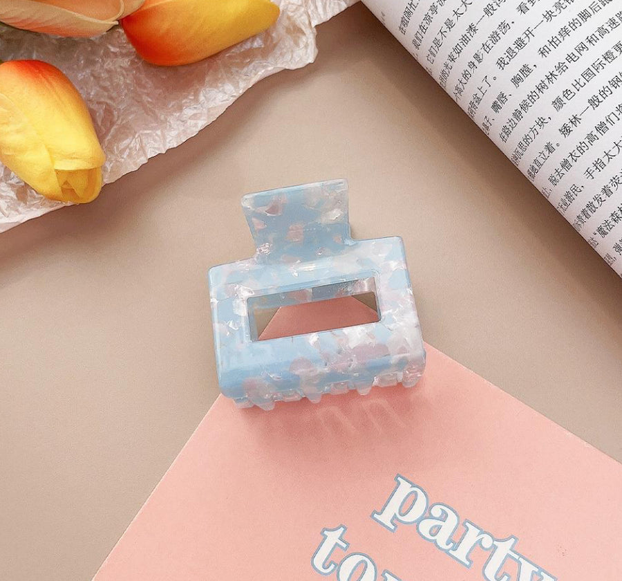 Mid Size Resin Claw Clip Blue and Pink