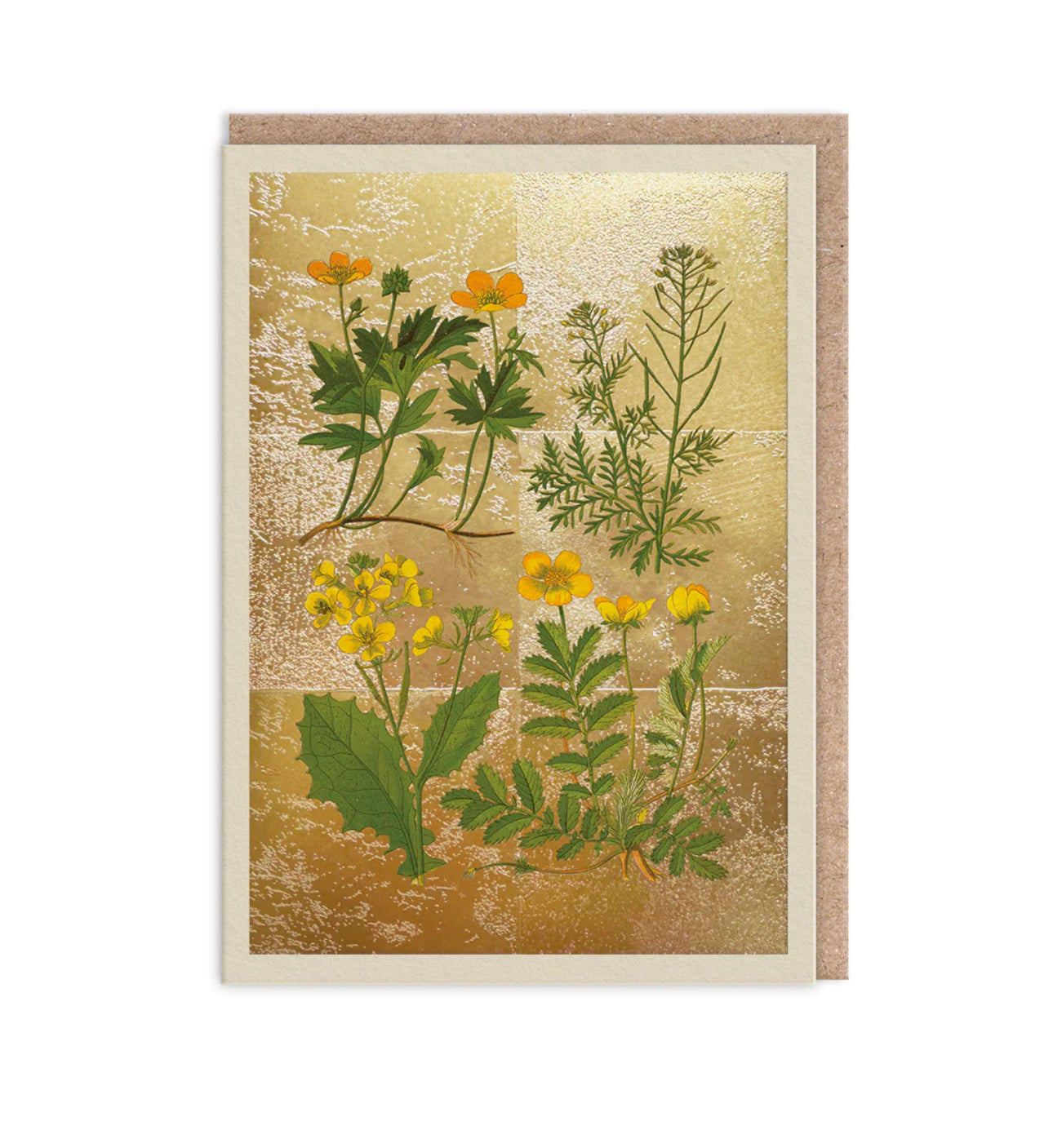 Hot Foil Wild Marsh Flower Greetings Card Aurina Pop UP Ltd