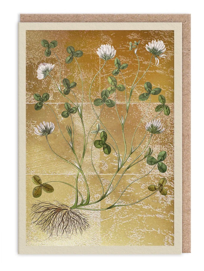 Hot Foil Clover Greetings Card