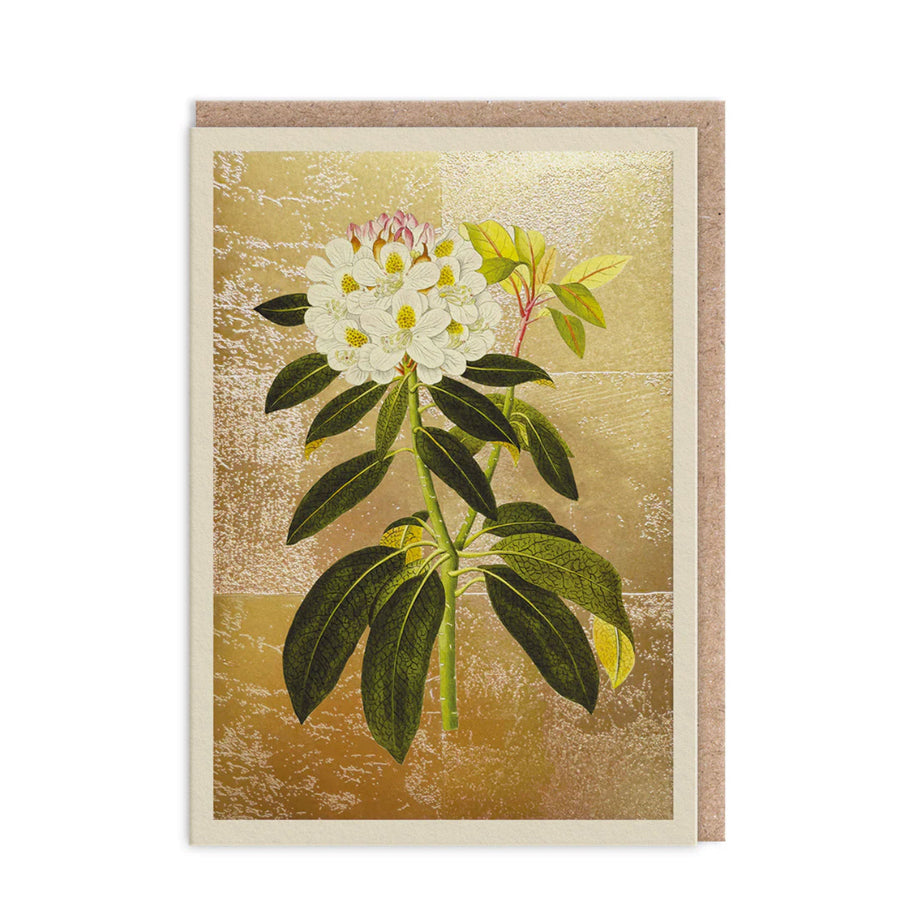 Hot Foil Rhododendron Greetings Card Aurina Pop UP Ltd