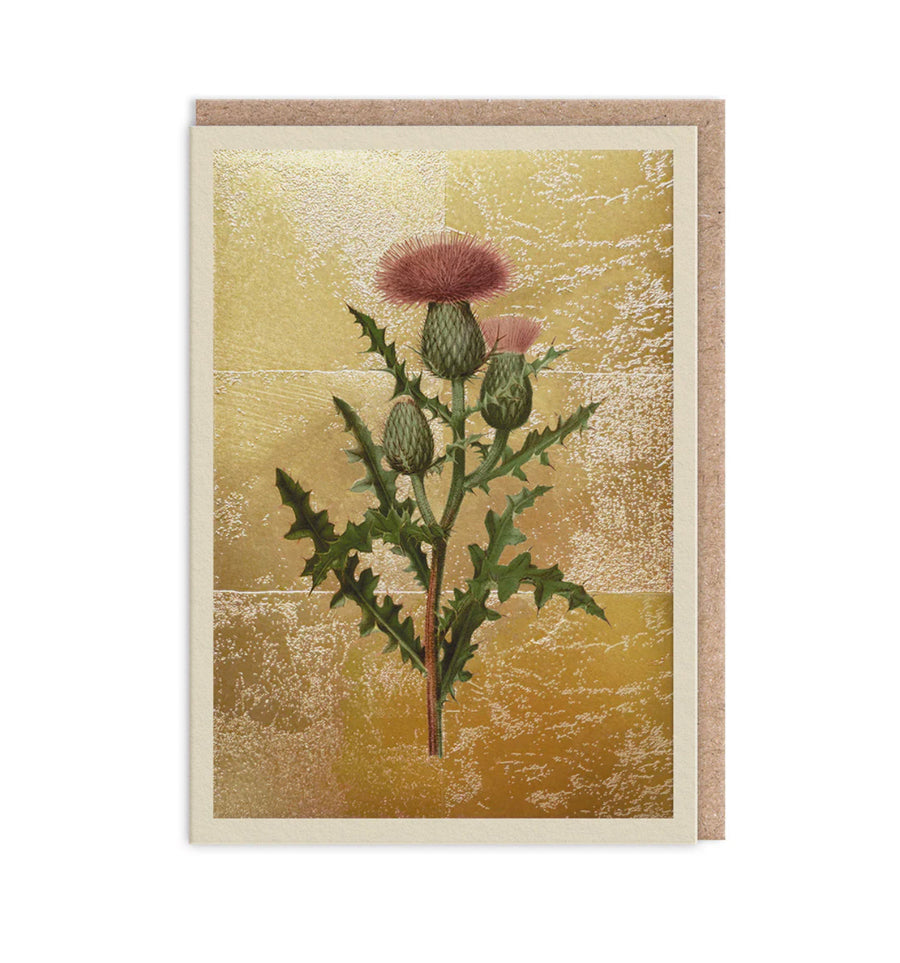 Hot Foil Thistle Greetings Card Aurina Pop UP Ltd