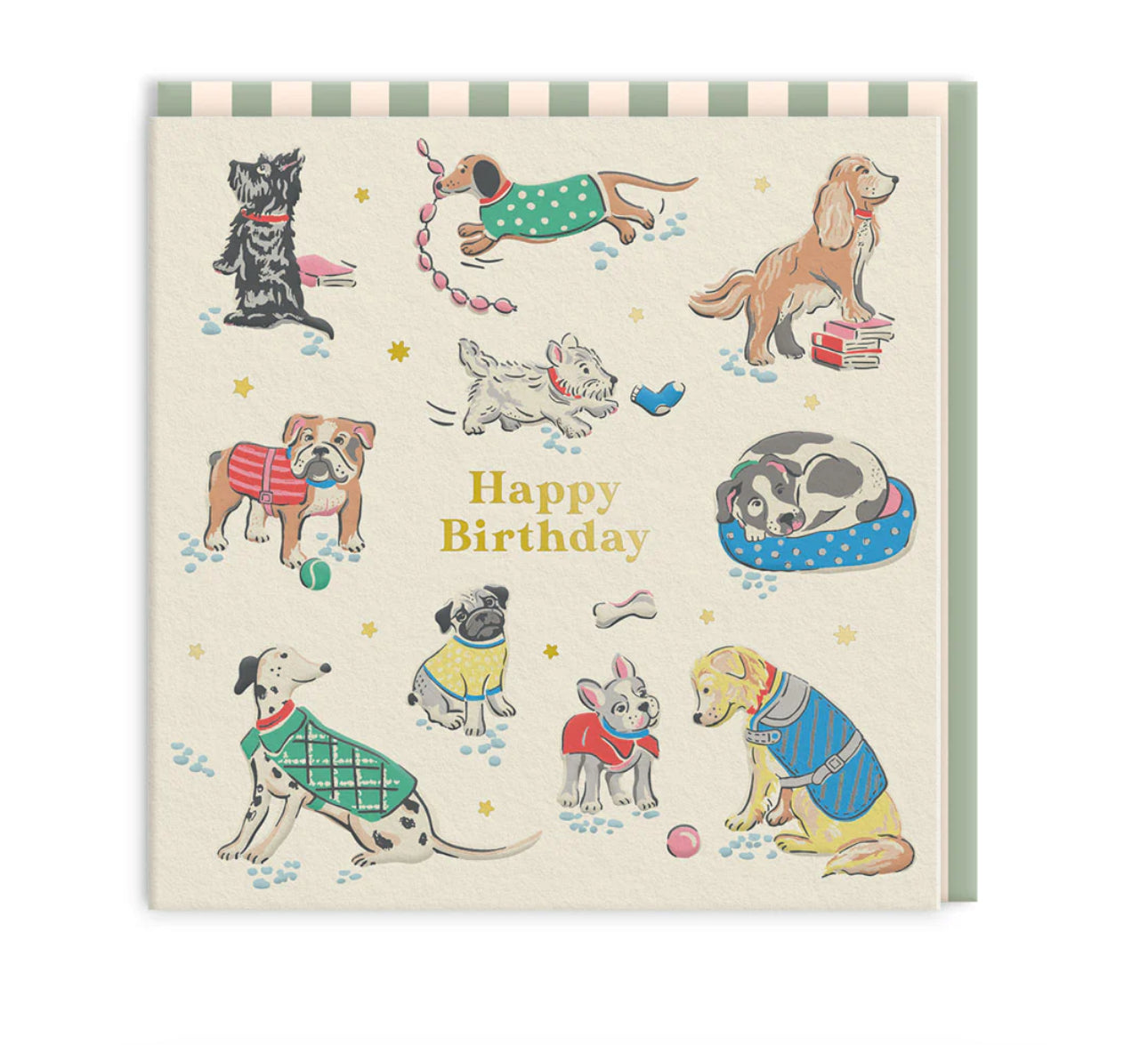 Happy Birthday Dogs Mini Greeting Card