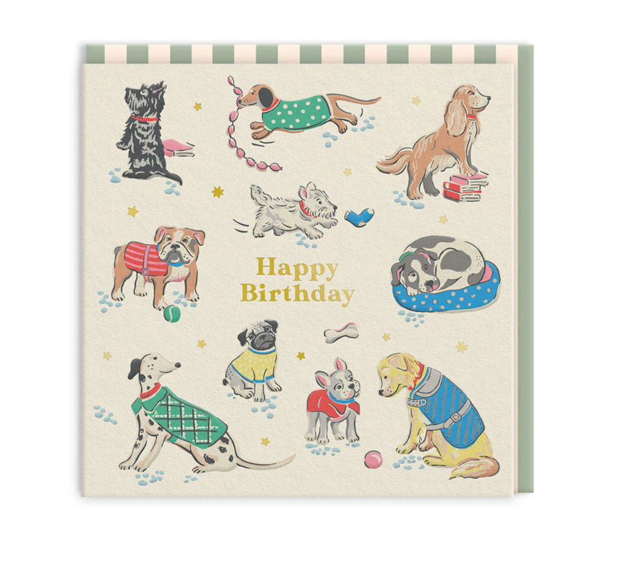 Happy Birthday Dogs Mini Greeting Card