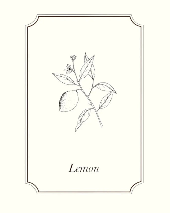 Napiers Lemon Essential Oil Aurina Pop UP Ltd