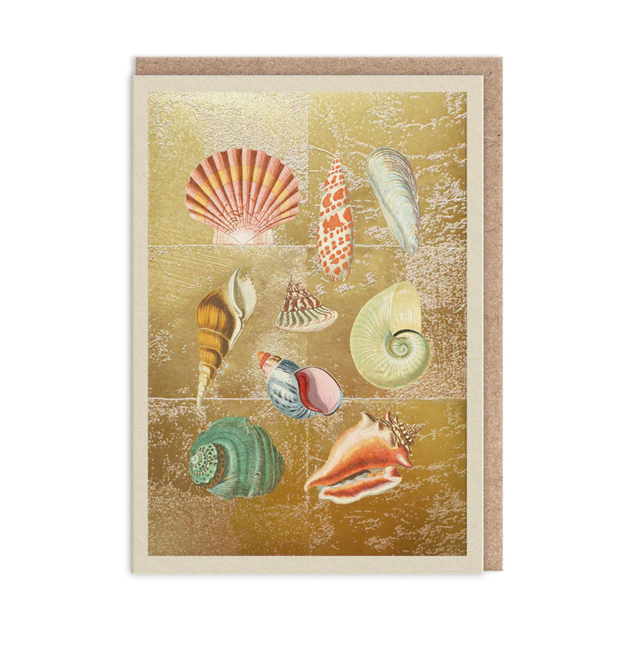 Hot Foil Sea Shell Greetings Card Aurina Pop UP Ltd