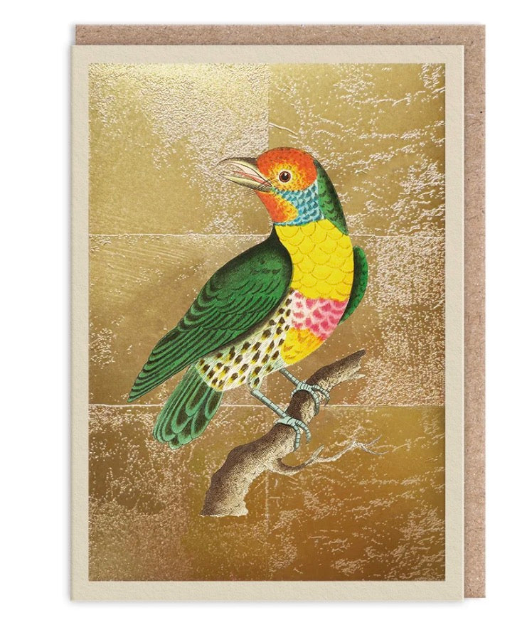 Hot Foil Lemon Throated Barbaret Card
