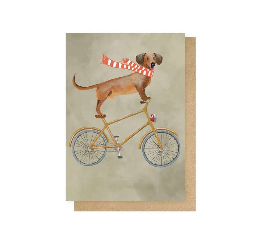 Dachshund on bicycle