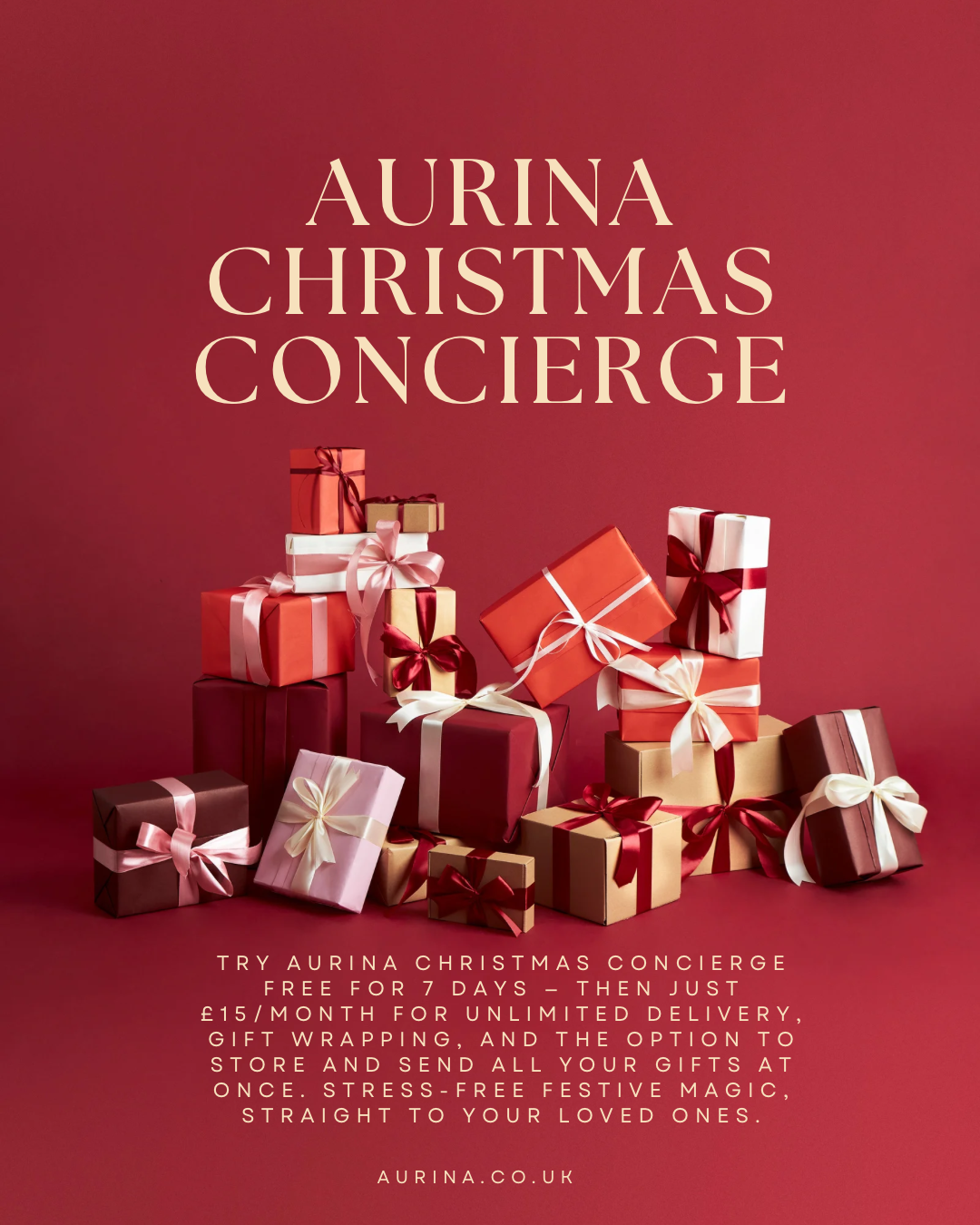 Aurina Christmas Concierge