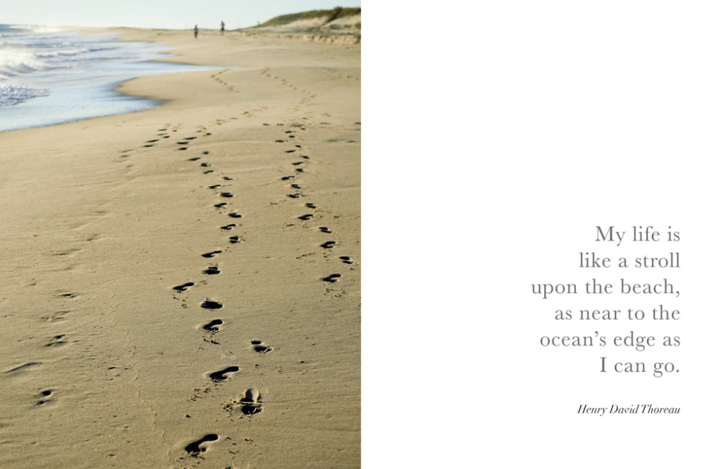 Seaside Inspirations