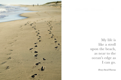 Seaside Inspirations