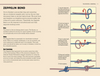 50 Knots For Every Adventure by Marty Allen