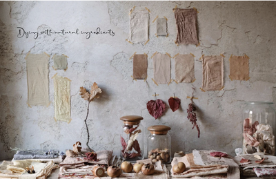 The Flower Hunter By Lucy Hunter