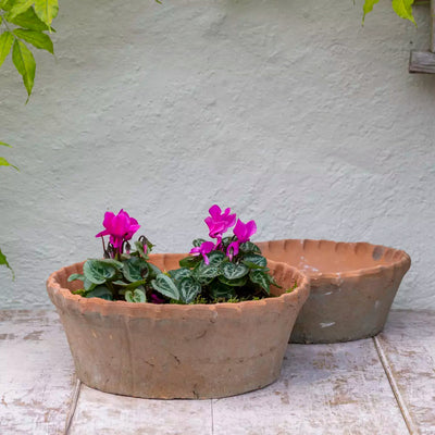 Antiqued Dish Frilled Planter Aurina Pop UP Ltd