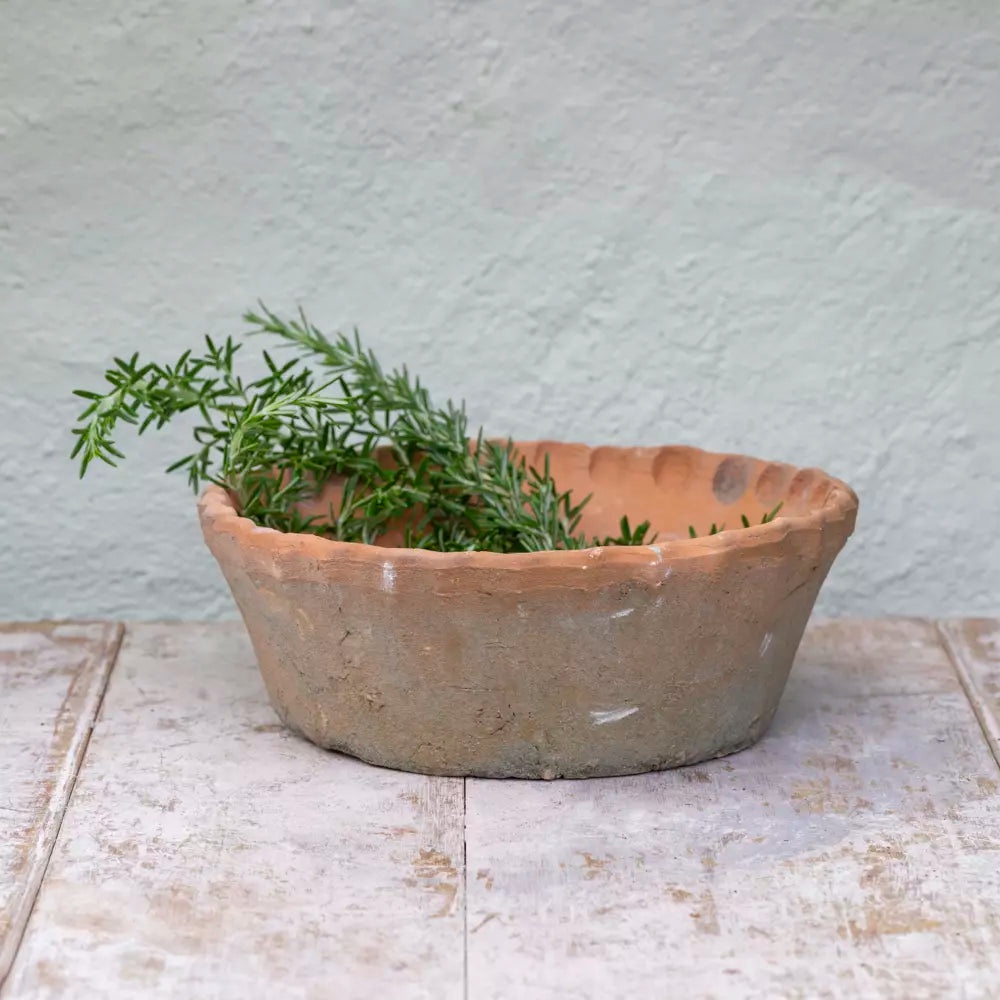 Antiqued Dish Frilled Planter Aurina Pop UP Ltd