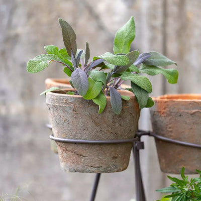 Cirencester Tiered Plant Frame with 18 Pots Aurina Pop UP Ltd