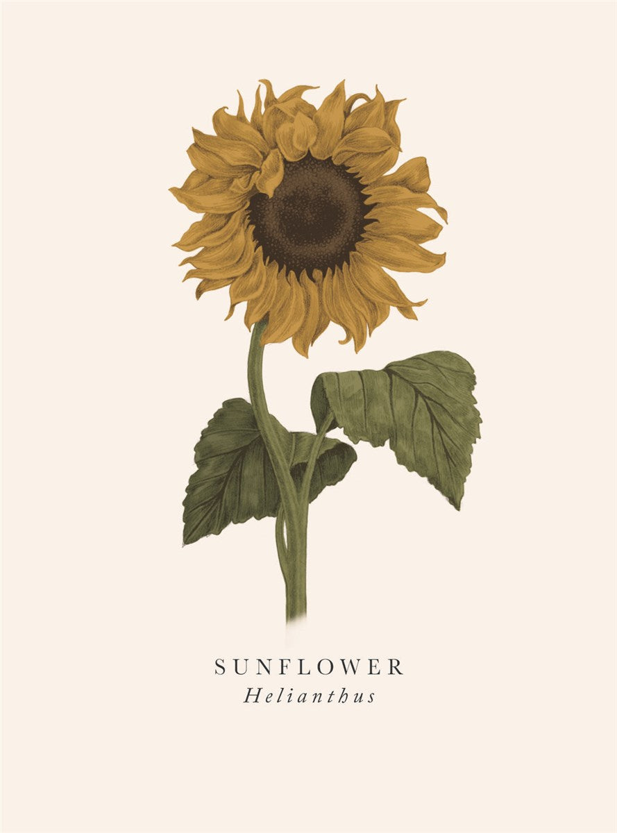 Sunflower Card